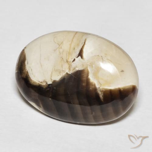 Madeira de amendoim Multicolorido Natural 15.62ct, oval, Opaco