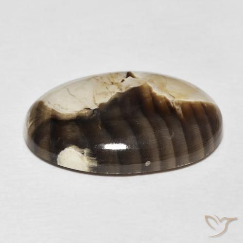 Madeira de amendoim Multicolorido Natural 15.62ct, oval, Opaco