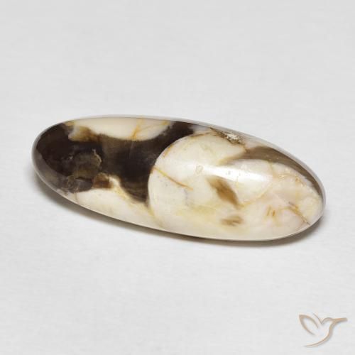 Madeira de amendoim Multicolorido Natural 12.85ct, oval, Opaco