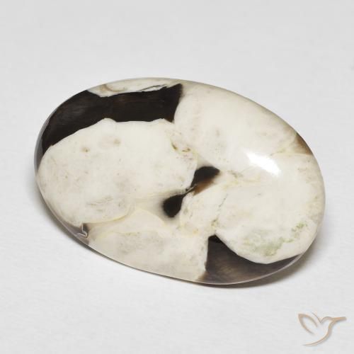 Madeira de amendoim Multicolorido Natural 22.29ct, oval, Opaco