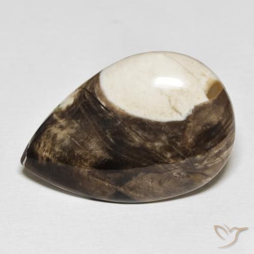 25.19ct Natural Multicolorido Madeira de amendoim, Formato de pêra, Opaco
