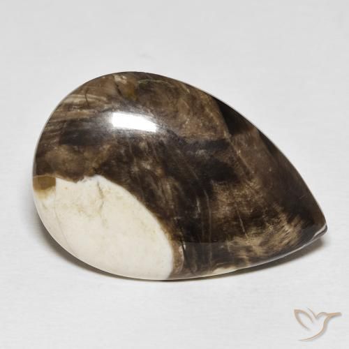 Madeira de amendoim Multicolorido Natural 25.19ct, Formato de pêra, Opaco