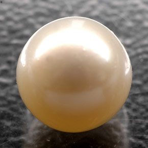 Pérola creme natural 2,52ct, esfera / bola, opaco