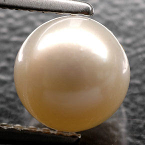 Pérola creme natural 2,52ct, esfera / bola, opaco