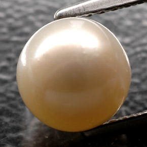 Pérola creme natural 2,52ct, esfera / bola, opaco