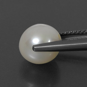 Pérola Creme Natural 3.82ct, Esfera / Bola, Opaco