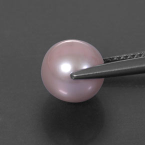 Pérola cinza natural 3,14ct, esfera / bola, opaco
