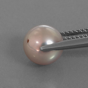 Pérola cinza natural 3,53ct, esfera / bola, opaco