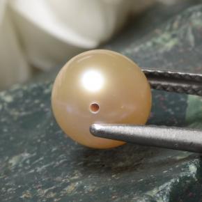 Pérola cinza natural 3,52ct, esfera / bola, opaco