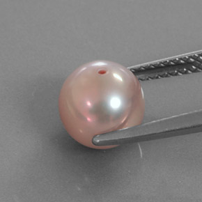 Pérola Prata Rosado Natural 2.89ct, Esfera / Bola, Opaco