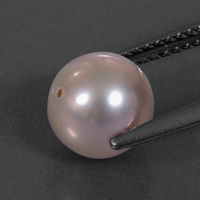 Pérola rosa natural 3,40ct, esfera / bola, opaco