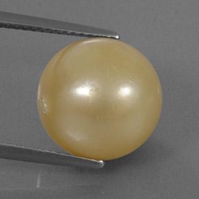Pérola dourado natural 13,25ct, esfera / bola, opaco