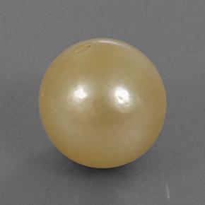 Pérola dourado natural 13,25ct, esfera / bola, opaco