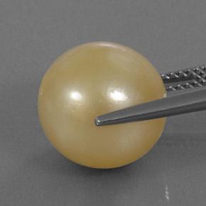 Pérola dourado natural 13,25ct, esfera / bola, opaco