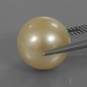 Pérola amarelo natural 13,12ct, esfera / bola, opaco