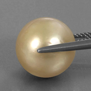 Pérola amarelo natural 14,91ct, esfera / bola, opaco