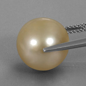 Pérola amarelo natural 12,49ct, esfera / bola, opaco