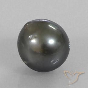 Pérola Cinza escuro Natural 11.36ct, Chique, Opaco