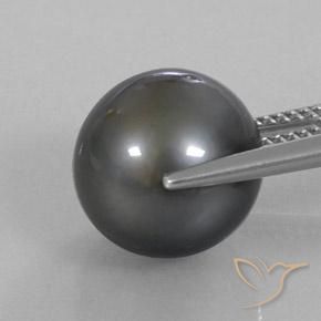 Pérola Cinza escuro Natural 11.36ct, Chique, Opaco