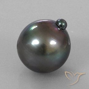 Pérola Cinza escuro Natural 11.55ct, Chique, Opaco