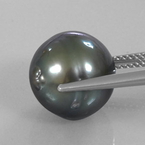 Pérola Prata escura Natural 11.70ct, Forma extravagante, Opaco