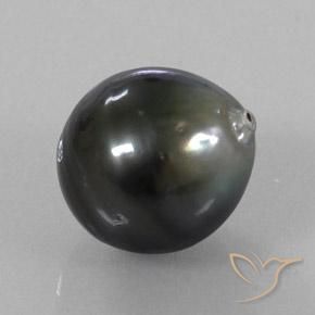 Pérola Prata escura Natural 11.77ct, Chique, Opaco