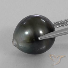 Pérola Prata escura Natural 11.77ct, Chique, Opaco