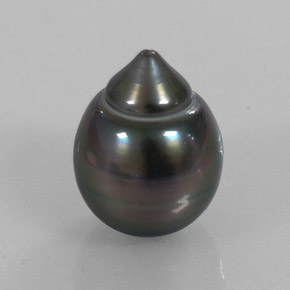 Pérola cinza natural 13,07ct, forma extravagante, opaco