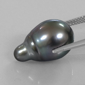 Pérola cinza natural 13,21ct, forma extravagante, opaco