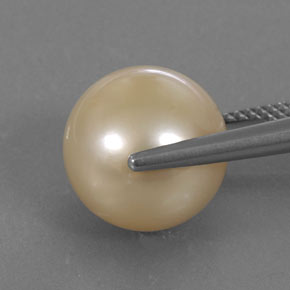 Pérola amarelo natural 13,84ct, esfera / bola, opaco
