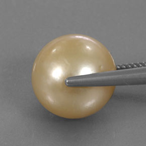 Pérola amarelo natural 15,02ct, esfera / bola, opaco
