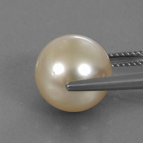 Pérola Dourado claro Natural 11.57ct, Esfera / Bola, Opaco