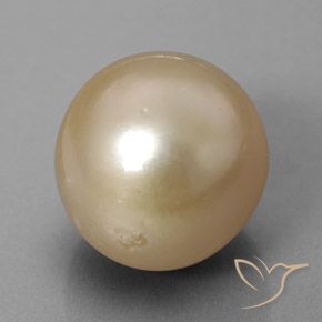 Pérola dourado natural 13,01ct, esfera / bola, opaco
