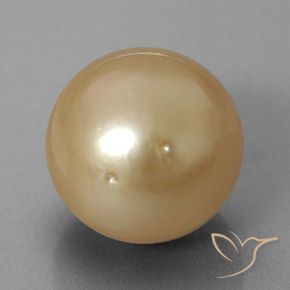 Pérola dourado natural 12,60ct, esfera / bola, opaco