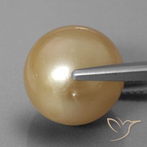 Pérola dourado natural 12,60ct, esfera / bola, opaco