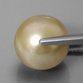 Pérola amarelo natural 11,75ct, esfera / bola, opaco