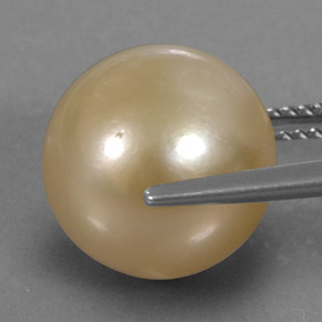 Pérola amarelo natural 13,15ct, esfera / bola, opaco