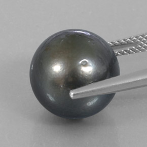 Pérola Prata escura Natural 13.16ct, Esfera / Bola, Opaco