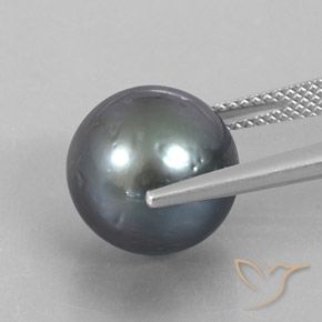 Pérola cinza natural 12,49ct, esfera / bola, opaco