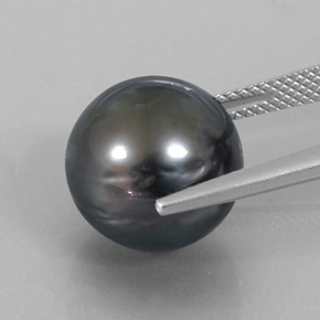 Pérola Prata escura Natural 14.52ct, Esfera / Bola, Opaco
