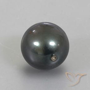 Pérola Cinza escuro Natural 13.49ct, Esfera / Bola, Opaco