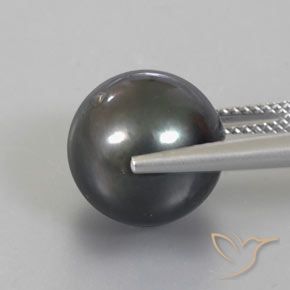 Pérola Cinza escuro Natural 13.49ct, Esfera / Bola, Opaco