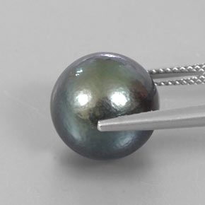 Pérola cinza natural 13,23ct, esfera / bola, opaco
