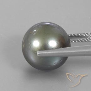 Pérola Cinza médio-escuro Natural 12.95ct, Esfera / Bola, Opaco