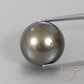 Pérola Cinza médio-escuro Natural 13.25ct, Esfera / Bola, Opaco