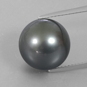 Pérola cinza natural 13,23ct, esfera / bola, opaco