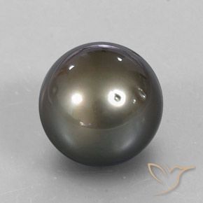 Pérola prata amarelado natural 13,72ct, esfera / bola, opaco