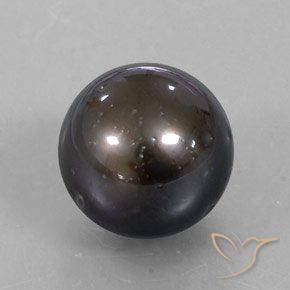Pérola Marrom Natural 13.30ct, Esfera / Bola, Opaco