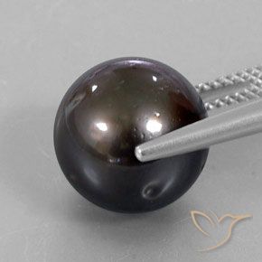 Pérola Marrom Natural 13.30ct, Esfera / Bola, Opaco