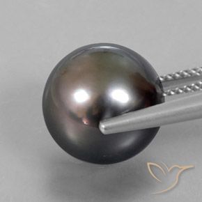 Pérola Marrom Natural 12.76ct, Esfera / Bola, Opaco